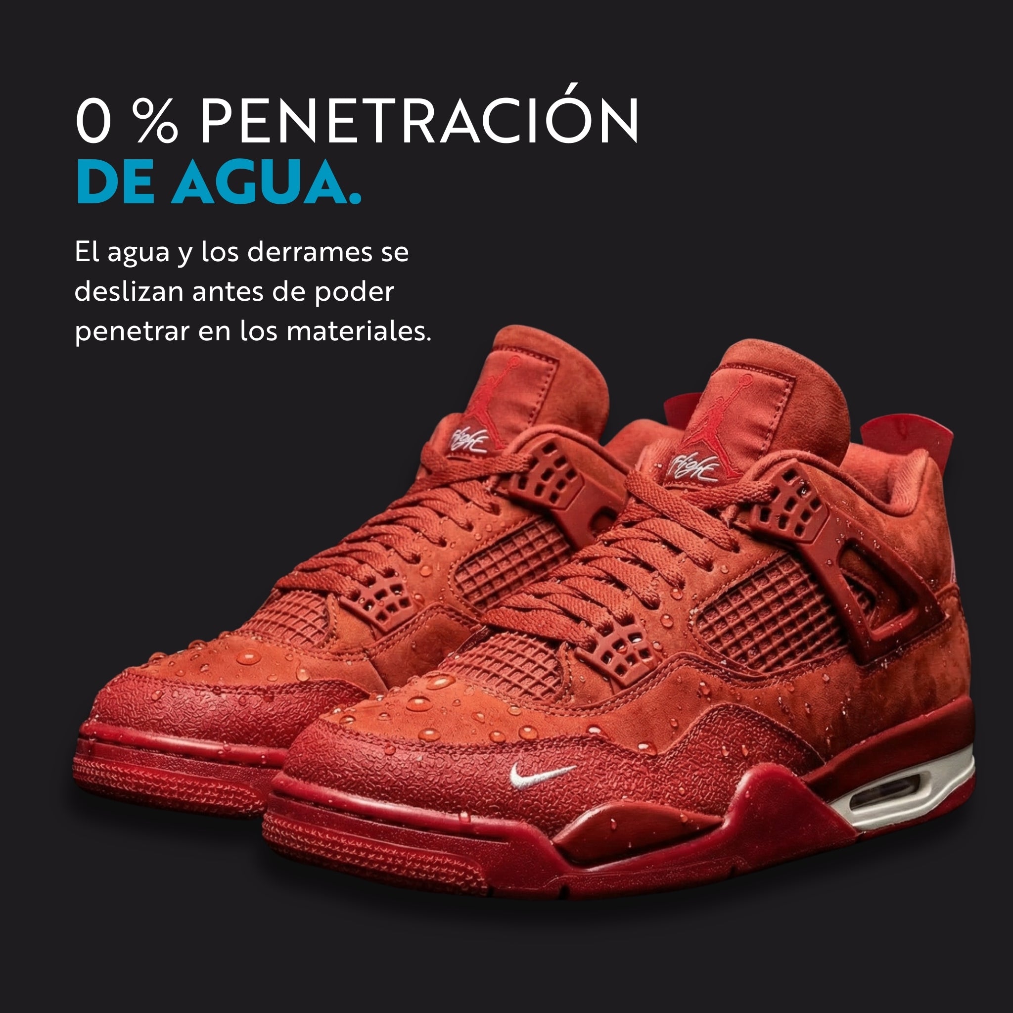 Protector de zapatillas