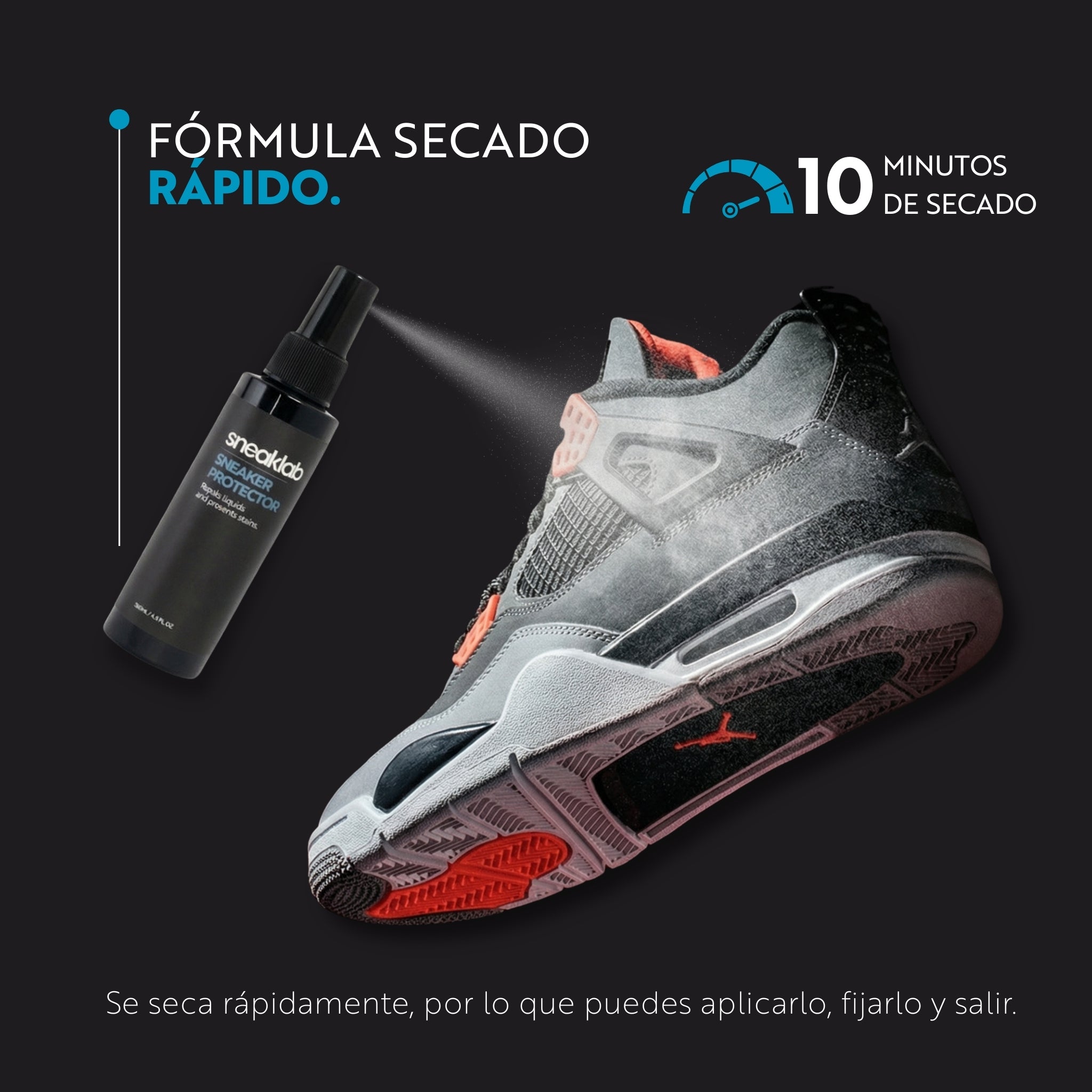 Protector de zapatillas